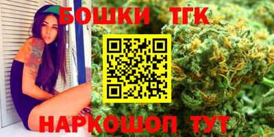 гидропоника Камышлов