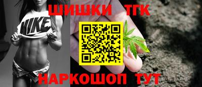 гидропоника Камышлов