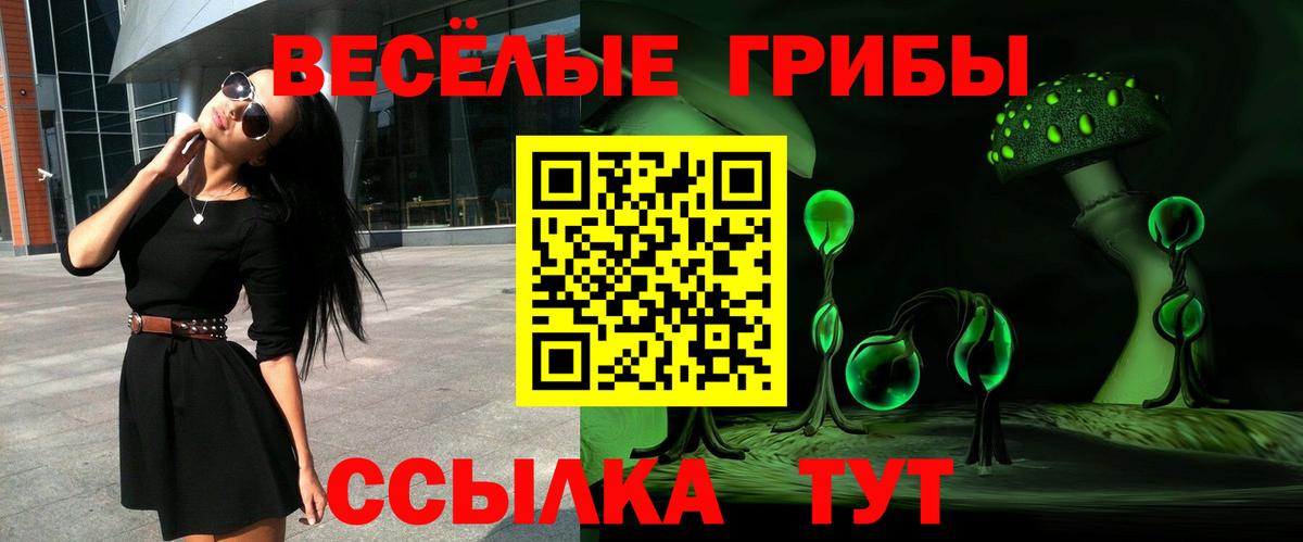 Псилоцибиновые грибы Psilocybine cubensis Краснодар