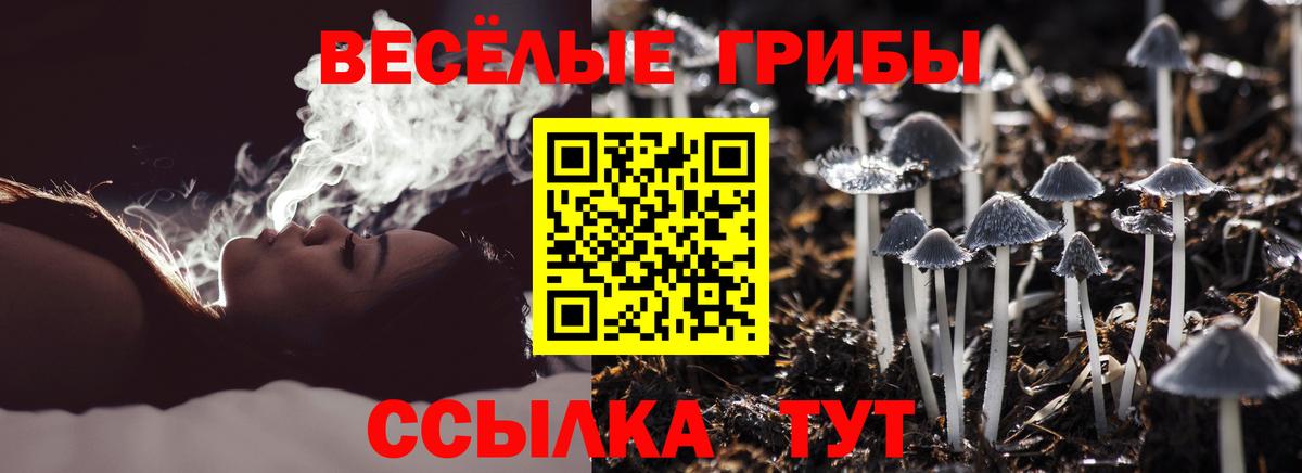 Псилоцибиновые грибы Psilocybine cubensis  Вход с VPN  Краснодар 