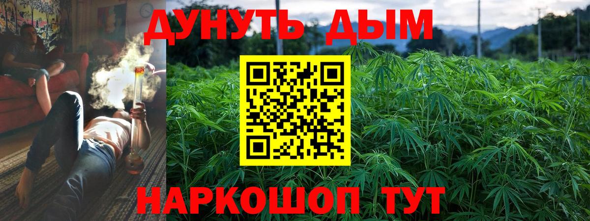 Канабис планчик Краснодар